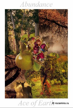 Nature Tarot by Jan Strube